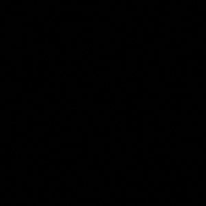 Meet your Posher, Luis